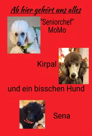 TierschildHunde Ab hier gehört uns alles Bild