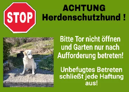 Tierschild Hunde ACHTUNG Herdenschutzhund! Bild
