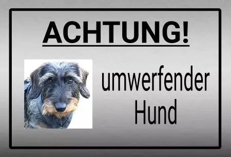 TierschildHunde ACHTUNG! Umwerfender Hund Bild
