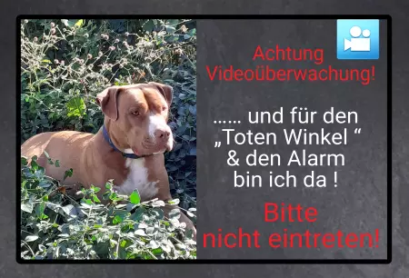 TierschildHunde Achtung Videoüberwachung Bild
