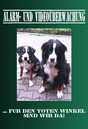 TierschildHunde Alarm- und Videoüberwachung Bild