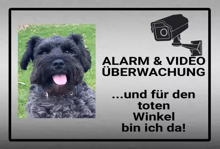 TierschildHunde Alarm & Video Überwachung Bild