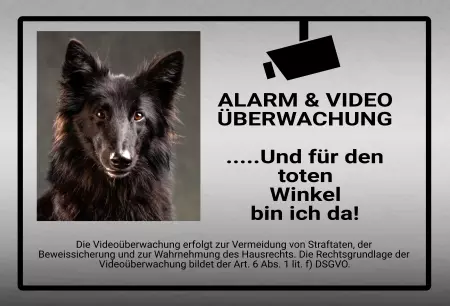 TierschildHunde ALARM & VIDEO ÜBERWACHUNG Bild