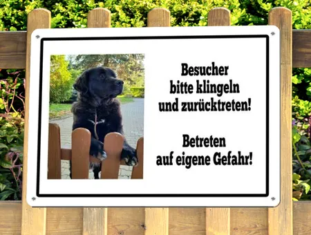 TierschildHunde Auf eigene Gefahr! Bild