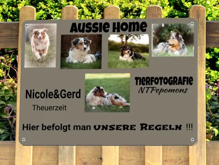 TierschildHunde AUSSIE HOME Bild