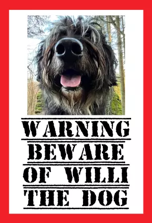 TierschildHunde BEWARE OF WILLI Bild