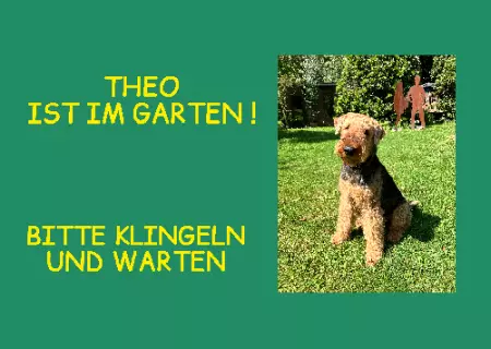 Tierschild Hunde Bitte klingeln und warten Bild