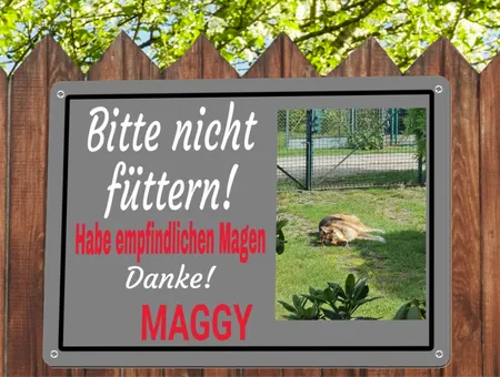 TierschildHunde Bitte nicht füttern! Bild