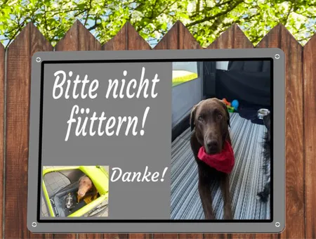 TierschildHunde Bitte nicht füttern! Bild