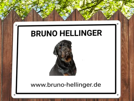 TierschildHunde Bruno Hellinger Bild