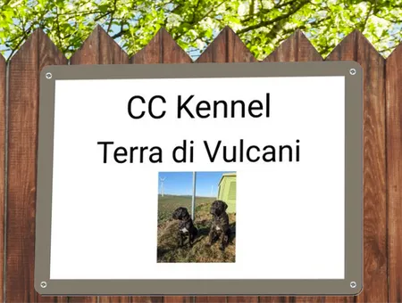 TierschildHunde CC Kennel Bild