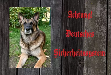 TierschildHunde Deutsches Sicherheitssystem Bild