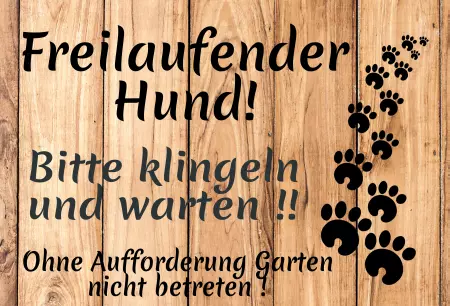 Tierschild Hunde Freilaufender Hund! Bild