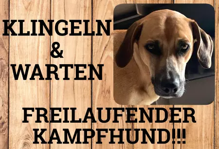 TierschildHunde Freilaufender Kampfhund!!! Schilder selbst gestalten TierschildHunde Freilaufender Kampfhund!!! Bild