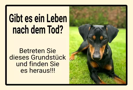 Tierschild Hunde Gibt es ein Leben nach dem Tod? Bild