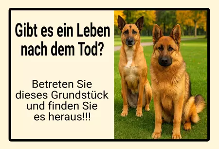 TierschildHunde Gibt es ein Leben nach dem Tod? Bild