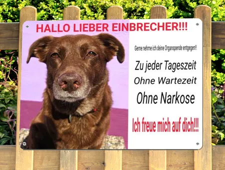 TierschildHunde HALLO LIEBER EINBRECHER Bild