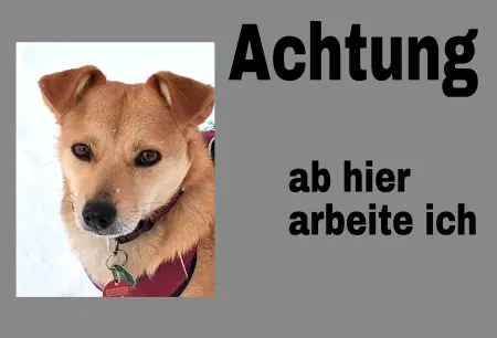 TierschildHunde Hier arbeite ich! Bild