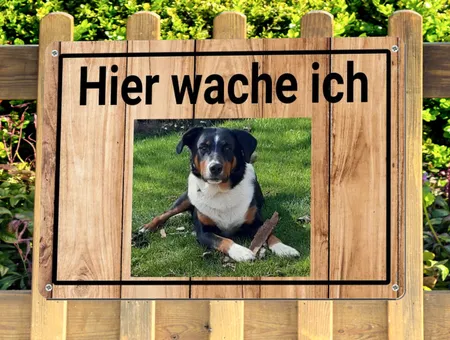 TierschildHunde Hier wache ich Bild