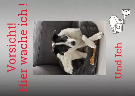 TierschildHunde Hier wache ich! Bild