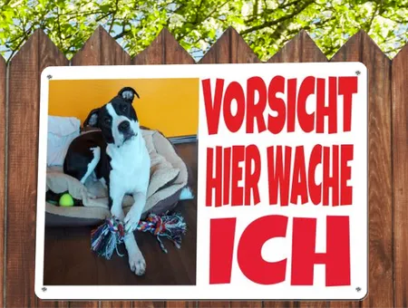 TierschildHunde Hier wache ich Bild