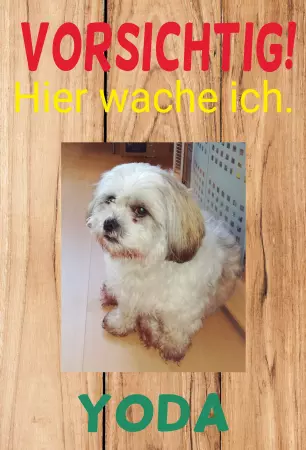 TierschildHunde Hier wache ich Bild