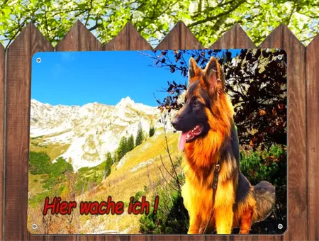 TierschildHunde Hier wache ich! Bild