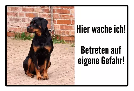 TierschildHunde Hier wache ich! Bild