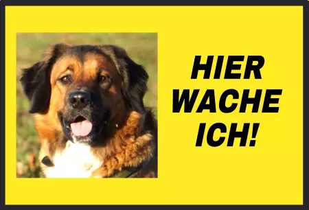Tierschild Hunde Hier wache ich! Bild
