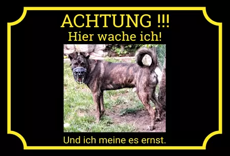 TierschildHunde Hier wache ich! Bild