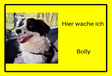 TierschildHunde Hier wache ich Bolly Bild