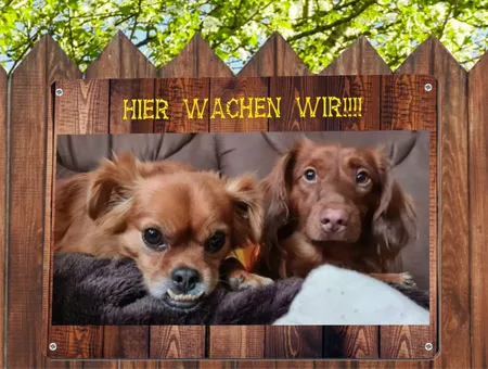 TierschildHunde HIER WACHEN WIR!!!! Bild