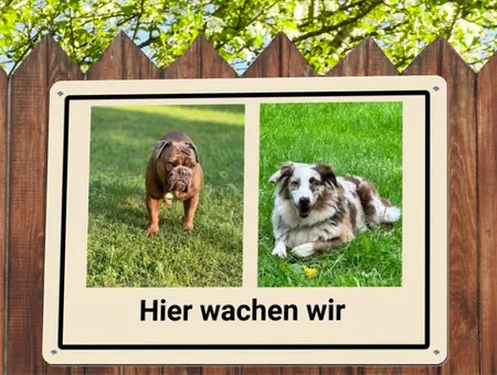 TierschildHunde Hier wachen wir Bild