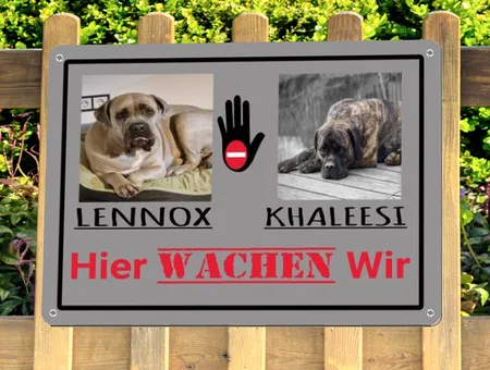 TierschildHunde Hier WACHEN Wir Bild