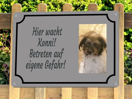 TierschildHunde Hier wacht Konni! Bild