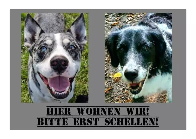 TierschildHunde Hier wohnen wir! Bild