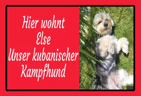 TierschildHunde Hier wohnt Else Unser kubanischer Kampfhund Bild