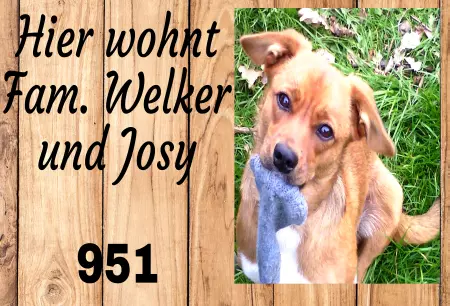 TierschildHunde Hier wohnt Josy Bild