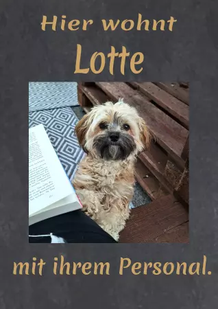 TierschildHunde Hier wohnt Lotte Bild
