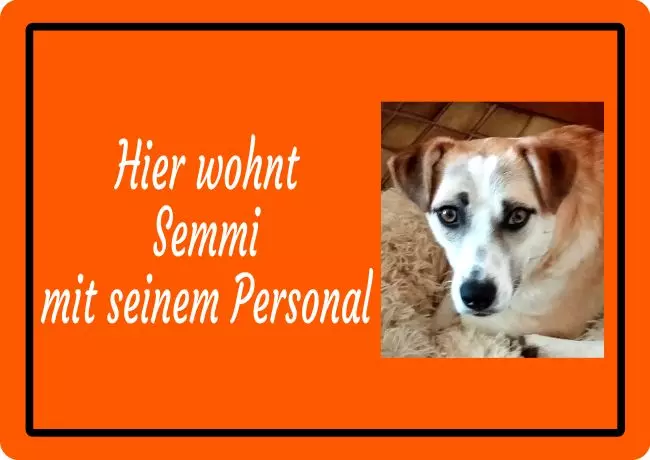 TierschildHunde Hier wohnt Sammi Bild