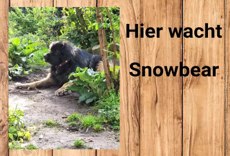 TierschildHunde Hier wohnt Snowbear Bild