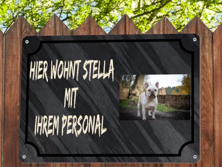 TierschildHunde Hier wohnt Stella Bild