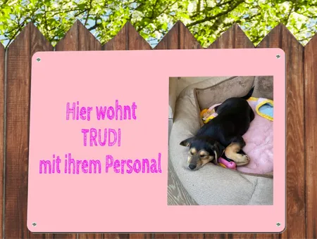 TierschildHunde Hier wohnt Trudi Bild