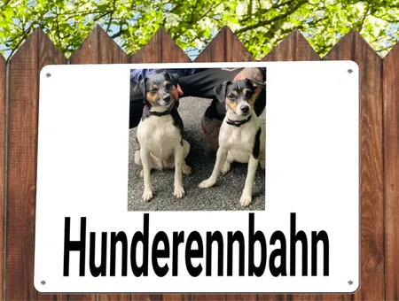 TierschildHunde Hunderennbahn Bild