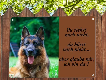TierschildHunde .. ich bin da Bild