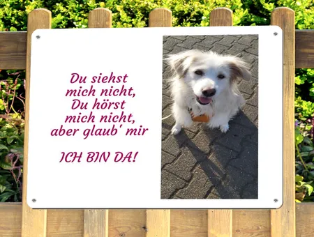 TierschildHunde Ich bin da! Bild