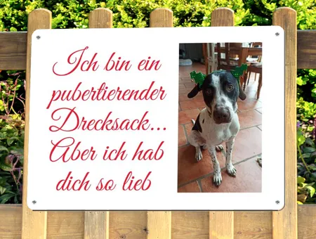 TierschildHunde Ich bin ein pubertierender .... Bild