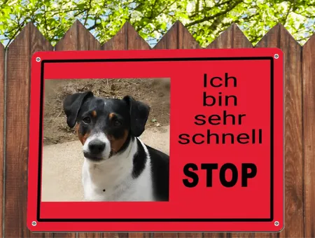 TierschildHunde Ich bin sehr schnell Bild