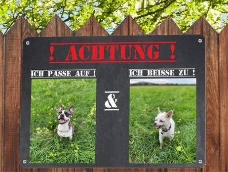 TierschildHunde ICH PASSE AUF Bild