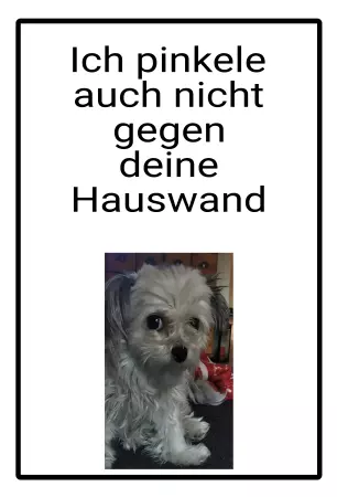 TierschildHunde Ich pinkle auch nicht... Bild